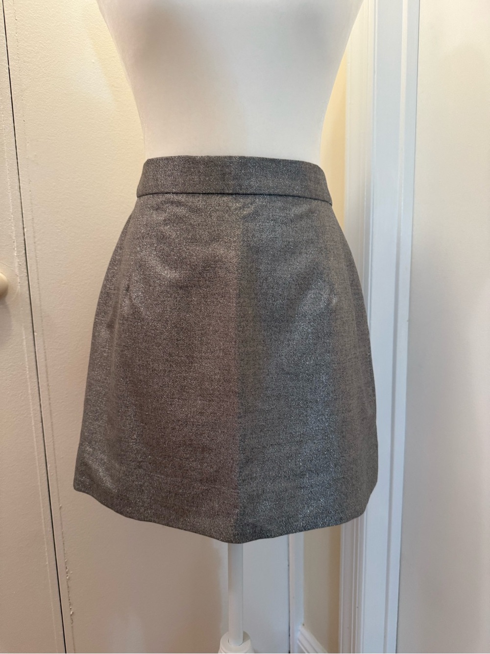 Women's Metallic Mini Skirt in Gray